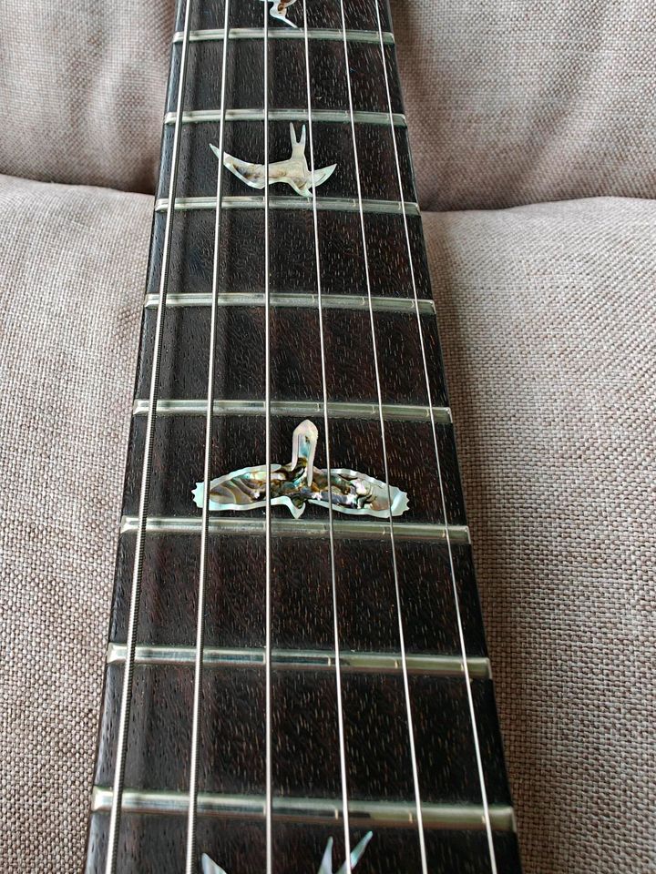 PRS Expedition Artist 2012 (Artist Package)